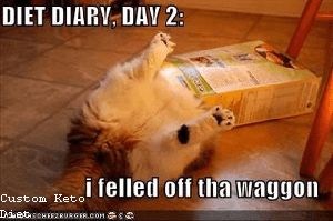 Keto 30 Day Plan Free